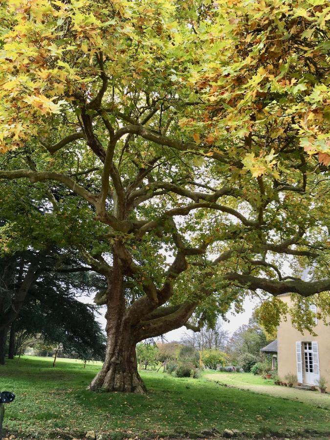 La Maison Haute Tigne ภายนอก รูปภาพ